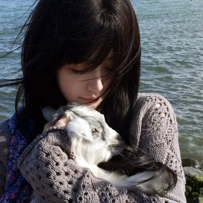 无头家族